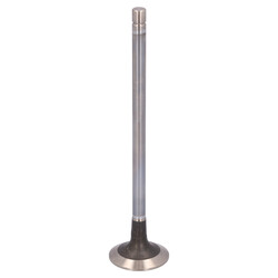 FEBI Bilstein - Uitlaatklep - 1000532