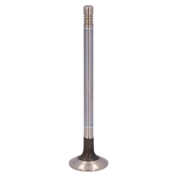 FEBI Bilstein - Uitlaatklep - 1001335