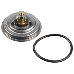 FEBI Bilstein - Thermostaat - 171594