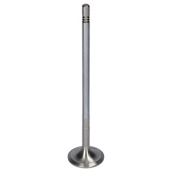 FEBI Bilstein - Inlaatklep - 181641