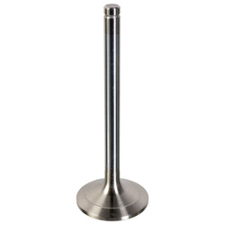 FEBI Bilstein - Inlaatklep - 178928
