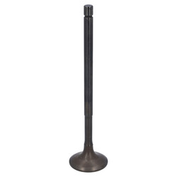 FEBI Bilstein - Uitlaatklep - 1001337