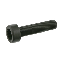 FEBI Bilstein - Vliegwielschroef - 24612