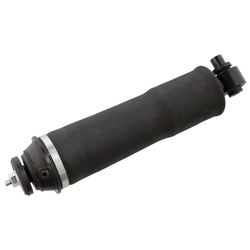 FEBI Bilstein - Cabineschokbreker - 106248