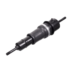 FEBI Bilstein - Cabineschokbreker - 21802