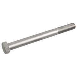 FEBI Bilstein - Zeskantsschroef - 170440