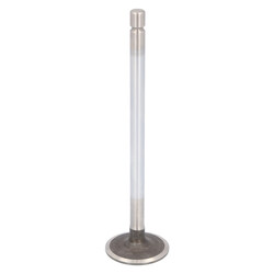 FEBI Bilstein - Inlaatklep - 183921