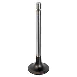 FEBI Bilstein - Inlaatklep - 178020