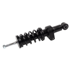 FEBI Bilstein - Cabineschokbreker - 102160