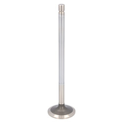 FEBI Bilstein - Inlaatklep - 183925