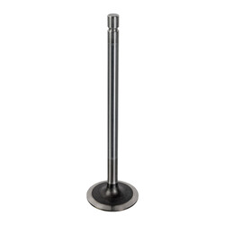 FEBI Bilstein - Inlaatklep - 179202