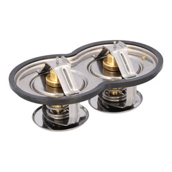 FEBI Bilstein - Dubbele thermostaat - 10054