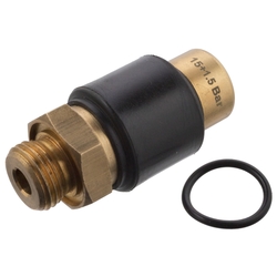 FEBI Bilstein - Overdrukklep - 105976