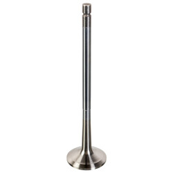 FEBI Bilstein - Uitlaatklep - 180210